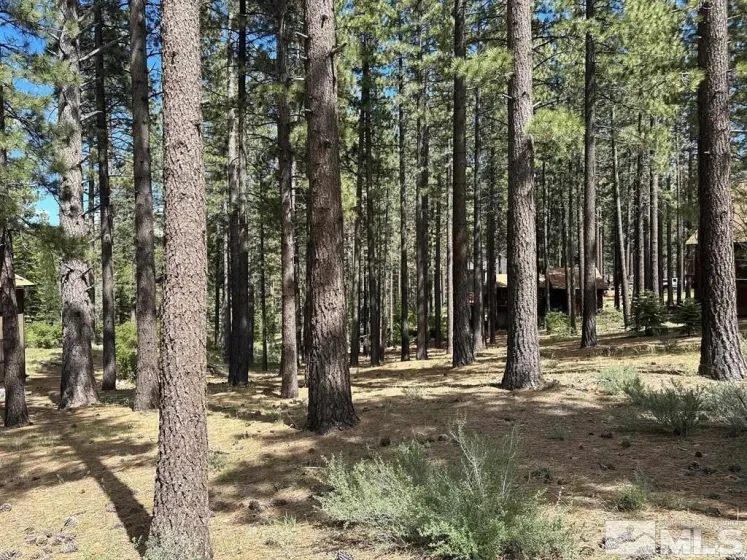 546 Pleasant Valley, Markleeville, California 96120, ,Land,Residential,Pleasant Valley,250006267