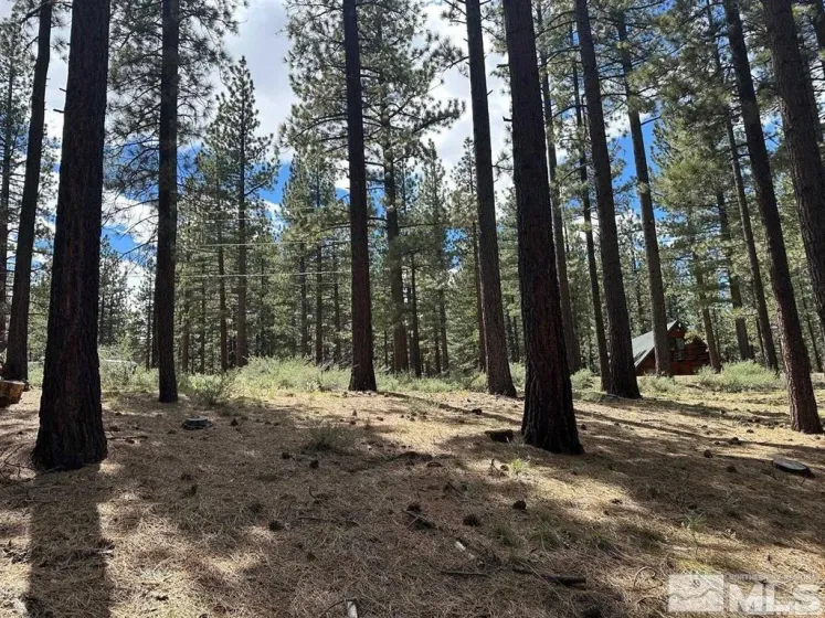 546 Pleasant Valley, Markleeville, California 96120, ,Land,Residential,Pleasant Valley,250006267