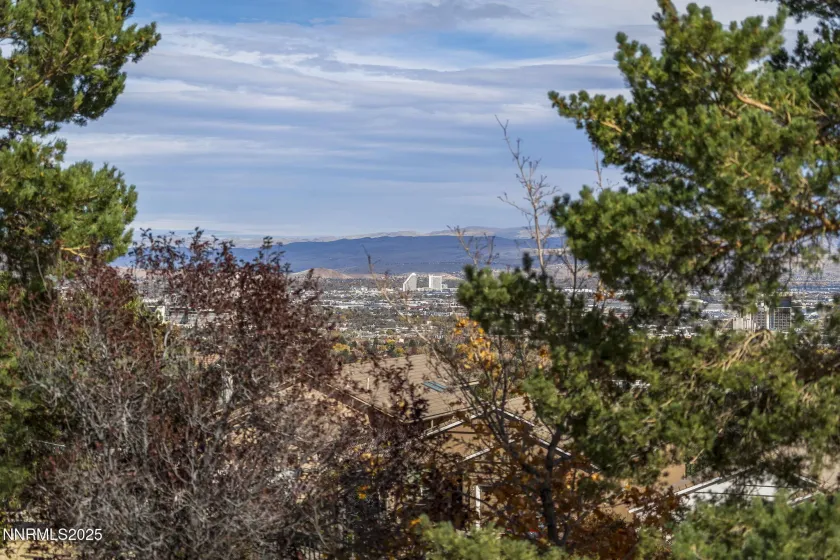 2678 Starr Meadows, Reno, Nevada 89519, 4 Bedrooms Bedrooms, ,3 BathroomsBathrooms,Residential,Residential,Starr Meadows,250058249