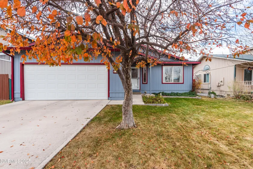 1339 Cahi, Gardnerville, Nevada 89460, 3 Bedrooms Bedrooms, ,2 BathroomsBathrooms,Residential,Residential,Cahi,250058218
