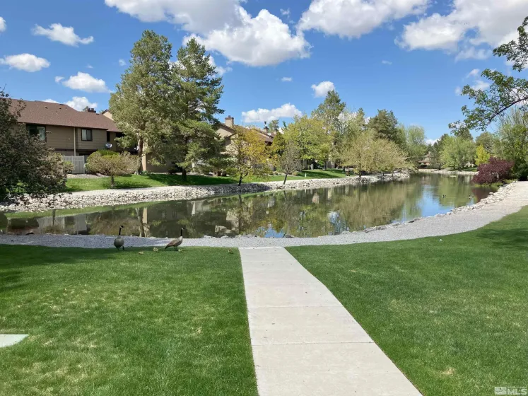 5033 Reggie, Reno, Nevada 89502, 1 Bedroom Bedrooms, ,1 BathroomBathrooms,Residential,Residential,Reggie,250006162