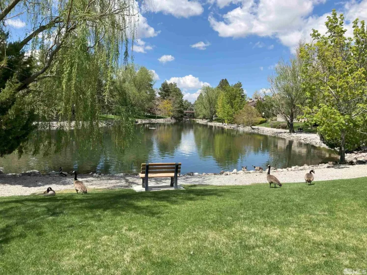 5033 Reggie, Reno, Nevada 89502, 1 Bedroom Bedrooms, ,1 BathroomBathrooms,Residential,Residential,Reggie,250006162