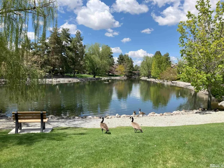 5033 Reggie, Reno, Nevada 89502, 1 Bedroom Bedrooms, ,1 BathroomBathrooms,Residential,Residential,Reggie,250006162