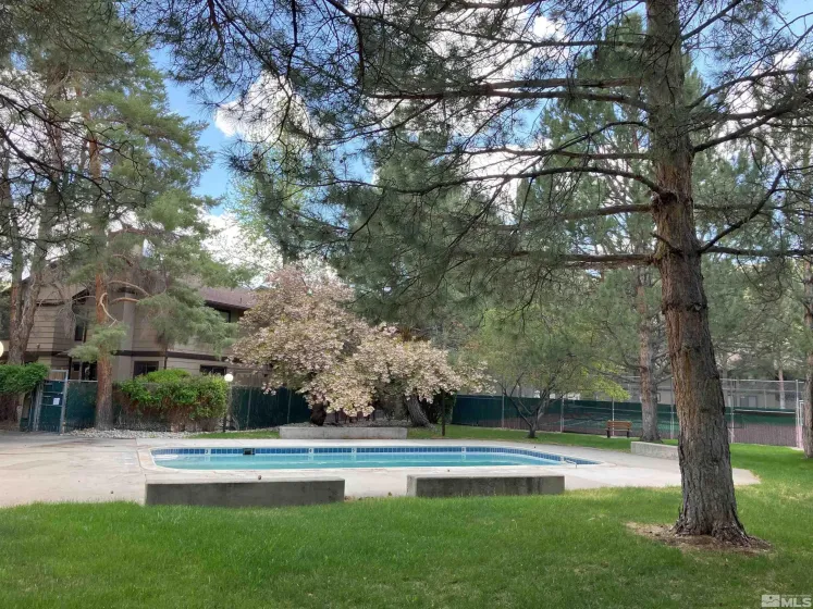 5033 Reggie, Reno, Nevada 89502, 1 Bedroom Bedrooms, ,1 BathroomBathrooms,Residential,Residential,Reggie,250006162