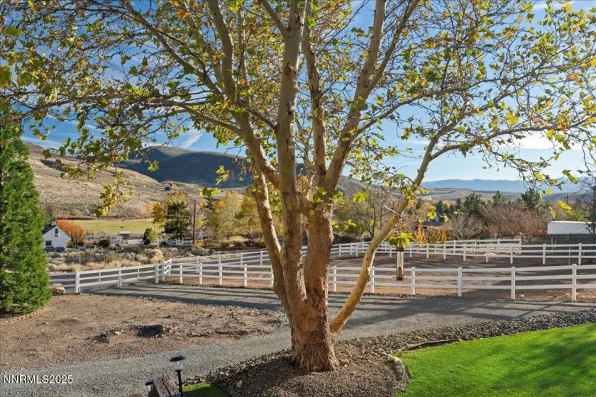 20855 Ames, Reno, Nevada 89521, 5 Bedrooms Bedrooms, ,5 BathroomsBathrooms,Residential,Residential,Ames,250058278