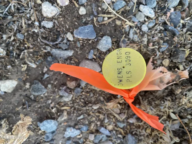 78 Old Ranch, Smith Valley, Nevada 89430, ,Land,Residential,Old Ranch,250058313