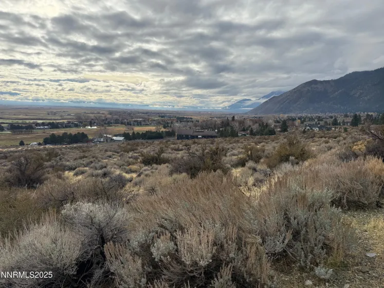 2511 Eagle Ridge, Genoa, Nevada 89411, ,Land,Residential,Eagle Ridge,250058315