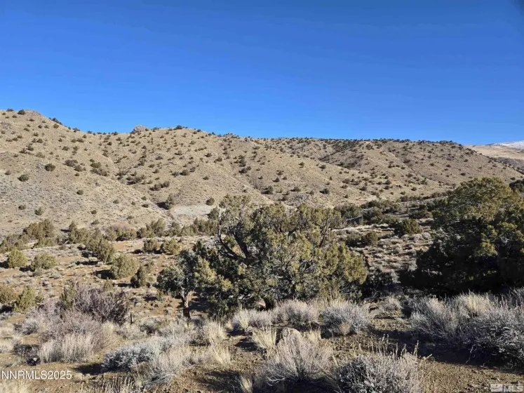 5150 Twin Springs, Reno, Nevada 89510, ,Land,Residential,Twin Springs,250058318