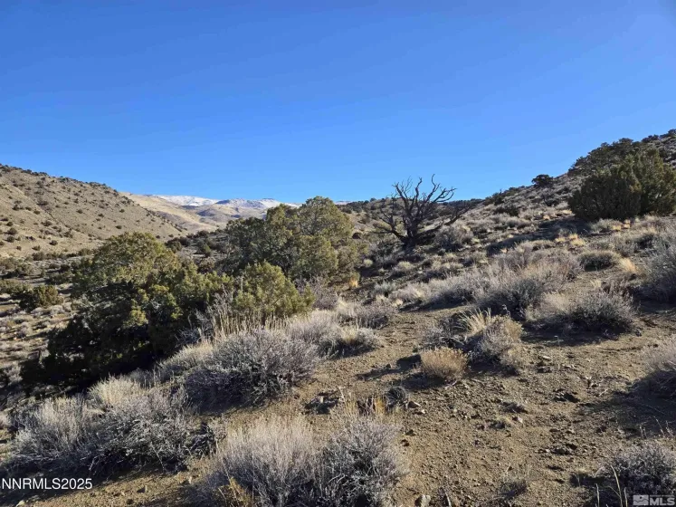 5150 Twin Springs, Reno, Nevada 89510, ,Land,Residential,Twin Springs,250058318