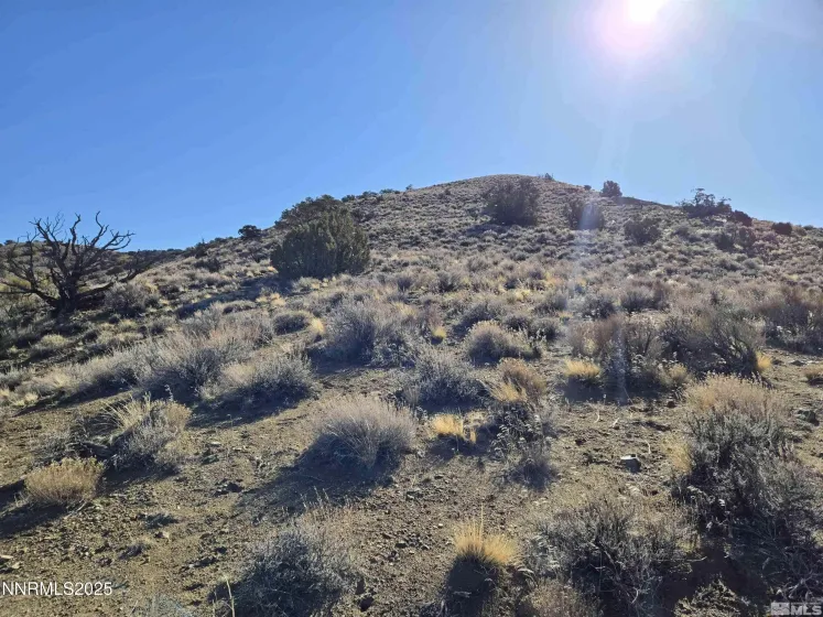 5150 Twin Springs, Reno, Nevada 89510, ,Land,Residential,Twin Springs,250058318