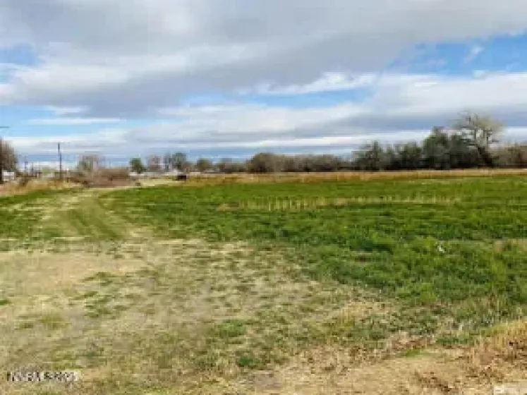 12 + acres off of Harrigan Rd, Fallon, Nevada 89406, ,Land,Residential,Harrigan Rd,250058338