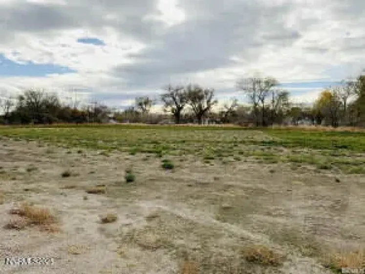 12 + acres off of Harrigan Rd, Fallon, Nevada 89406, ,Land,Residential,Harrigan Rd,250058338