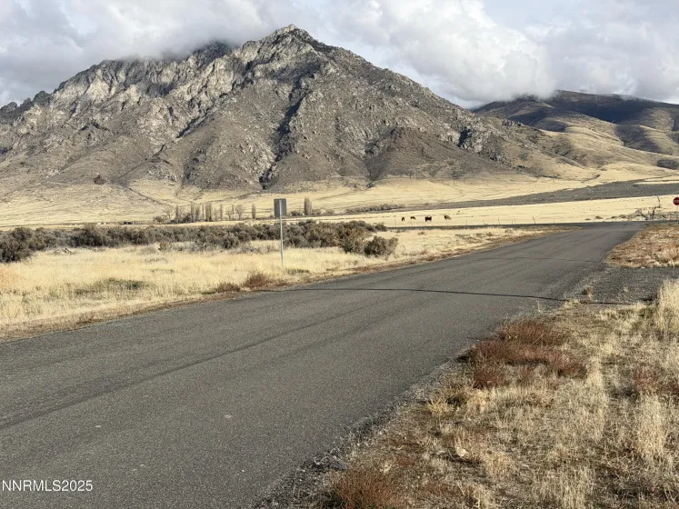 40 Kunkel, Orovada, Nevada 89425, 3 Bedrooms Bedrooms, ,3 BathroomsBathrooms,Residential,Residential,Kunkel,250058367