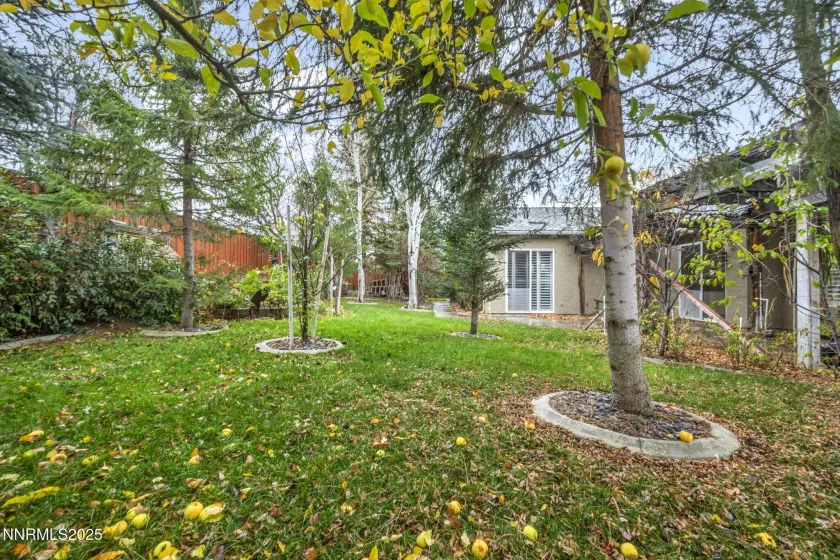 7778 Cerritos, Sparks, Nevada 89436, 4 Bedrooms Bedrooms, ,2 BathroomsBathrooms,Residential,Residential,Cerritos,250058437