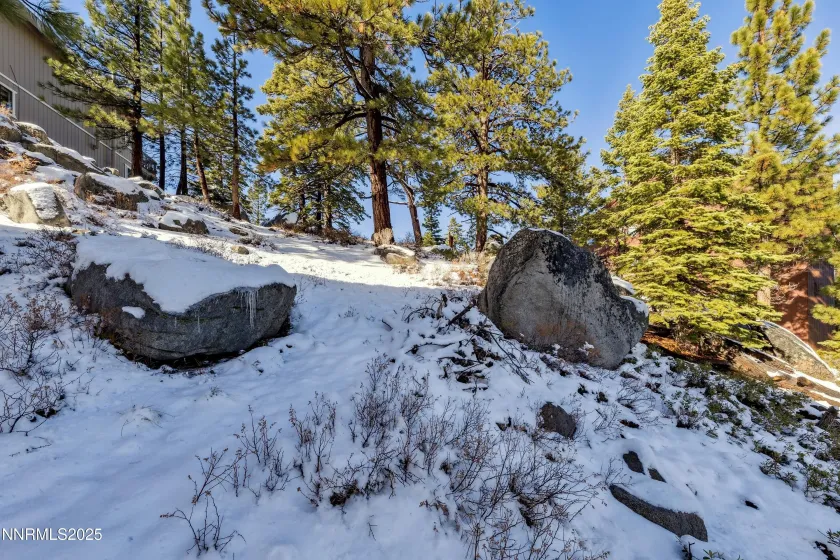 146 Tramway, Stateline, Nevada 89449, ,Land,Residential,Tramway,250058439