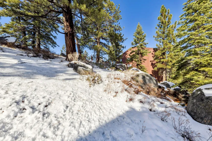 146 Tramway, Stateline, Nevada 89449, ,Land,Residential,Tramway,250058439