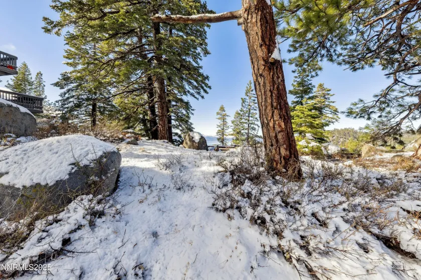 146 Tramway, Stateline, Nevada 89449, ,Land,Residential,Tramway,250058439