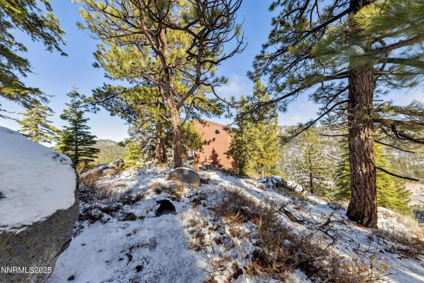 146 Tramway, Stateline, Nevada 89449, ,Land,Residential,Tramway,250058439