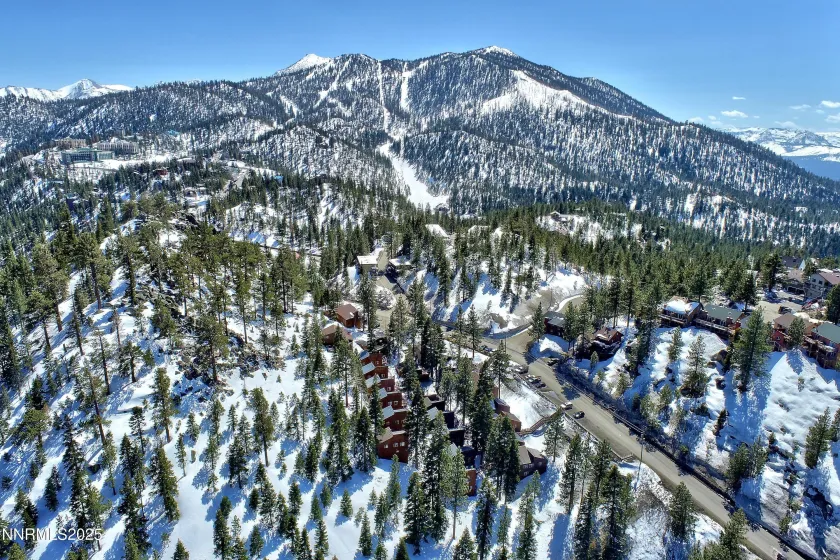 146 Tramway, Stateline, Nevada 89449, ,Land,Residential,Tramway,250058439