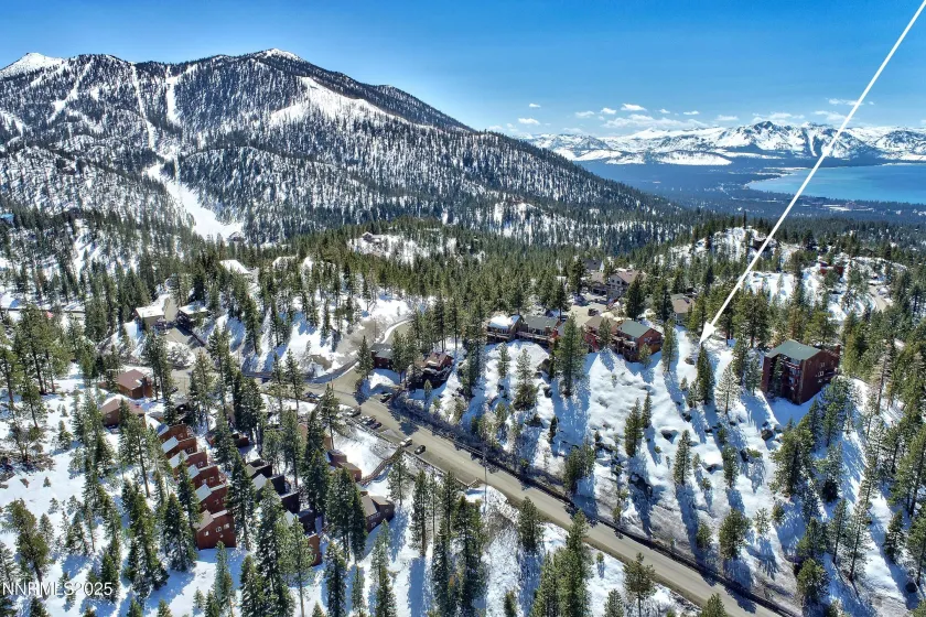 146 Tramway, Stateline, Nevada 89449, ,Land,Residential,Tramway,250058439