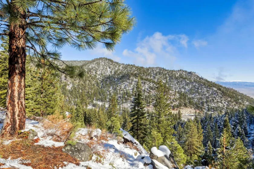 146 Tramway, Stateline, Nevada 89449, ,Land,Residential,Tramway,250058439