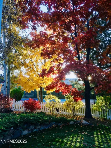 3678 Brighton, Reno, Nevada 89509, 3 Bedrooms Bedrooms, ,2 BathroomsBathrooms,Residential,Residential,Brighton,250058448