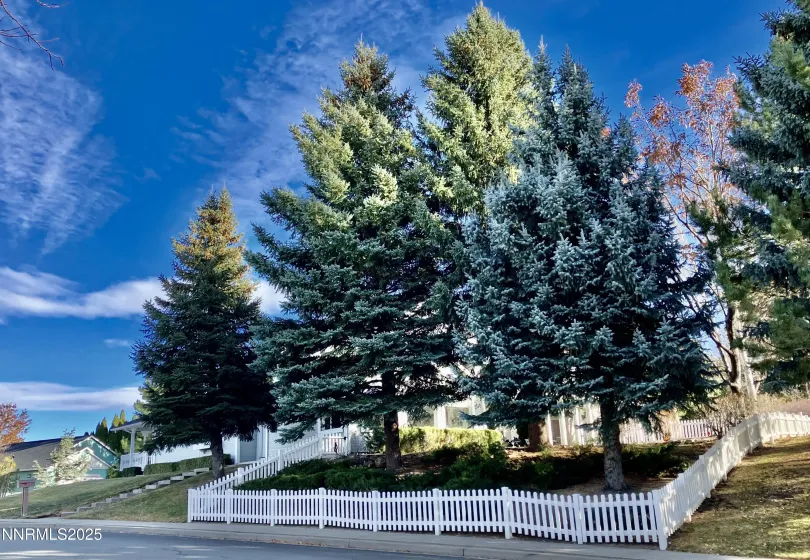 3678 Brighton, Reno, Nevada 89509, 3 Bedrooms Bedrooms, ,2 BathroomsBathrooms,Residential,Residential,Brighton,250058448