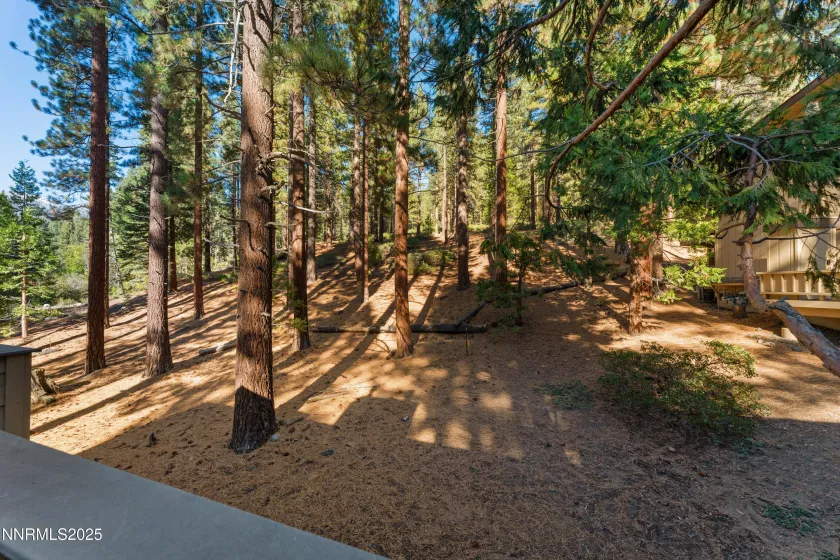 321 Ski, Incline Village, Nevada 89451, 3 Bedrooms Bedrooms, ,3 BathroomsBathrooms,Residential,Residential,Ski,250057859