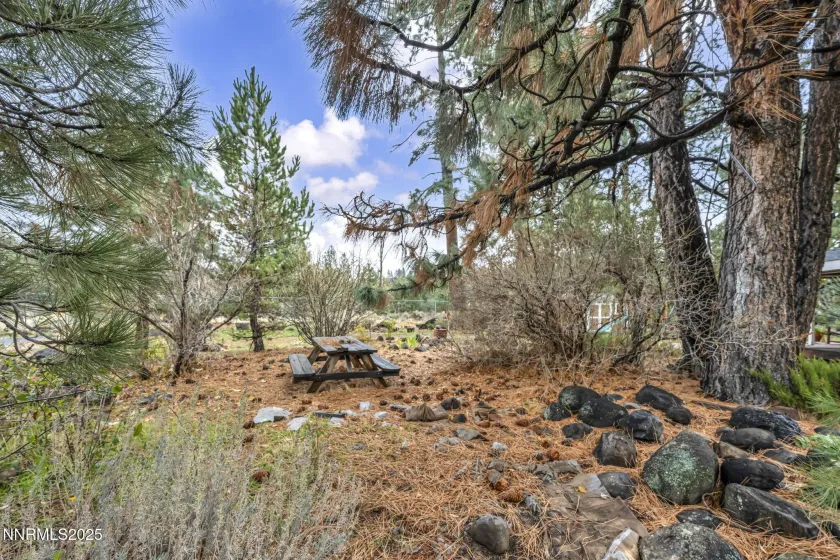 568 Crystal Park, Verdi, Nevada 89439, 3 Bedrooms Bedrooms, ,3 BathroomsBathrooms,Residential,Residential,Crystal Park,250058486