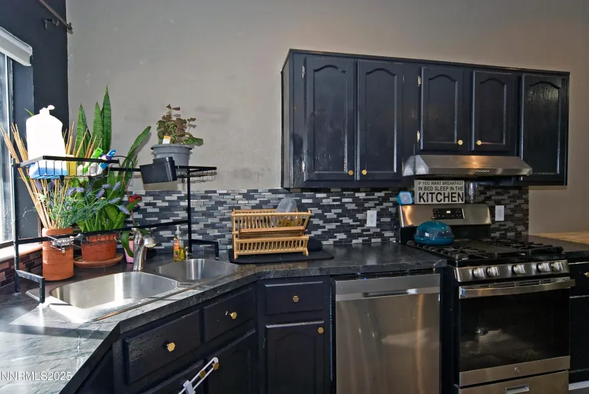 296 Ave De La Bleu De Clair, Sparks, Nevada 89434, 3 Bedrooms Bedrooms, ,2 BathroomsBathrooms,Residential,Residential,Ave De La Bleu De Clair,250058531