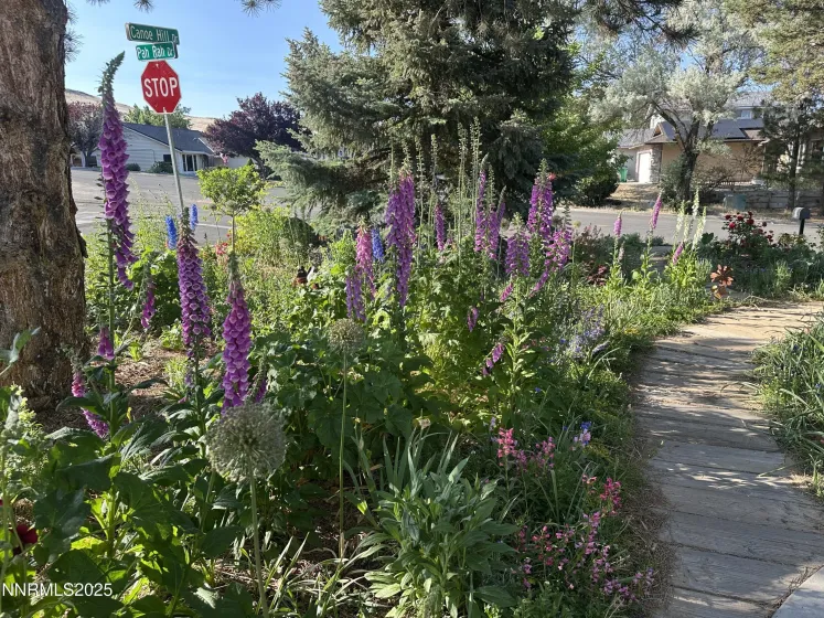 6800 Pah Rah, Sparks, Nevada 89436, 3 Bedrooms Bedrooms, ,2 BathroomsBathrooms,Residential,Residential,Pah Rah,250058535