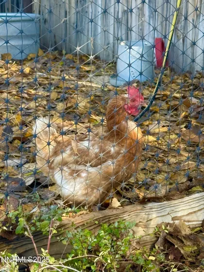 632 Occidental, Dayton, Nevada 89403, 3 Bedrooms Bedrooms, ,2 BathroomsBathrooms,Residential,Residential,Occidental,250058536