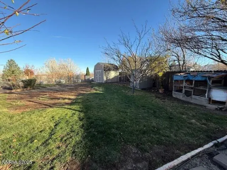 Backyard landscaping with sheds