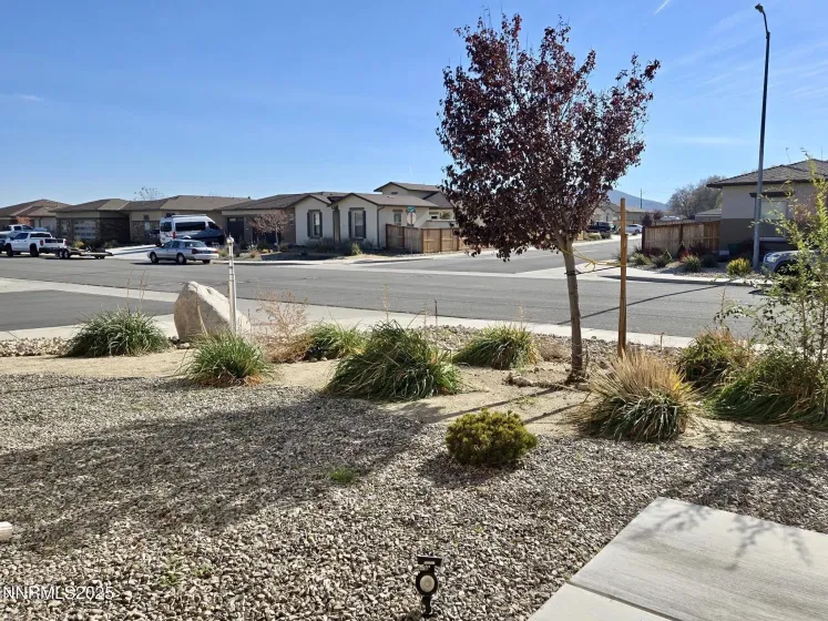 162 Jennys, Fernley, Nevada 89408, 3 Bedrooms Bedrooms, ,3 BathroomsBathrooms,Residential,Residential,Jennys,250058572