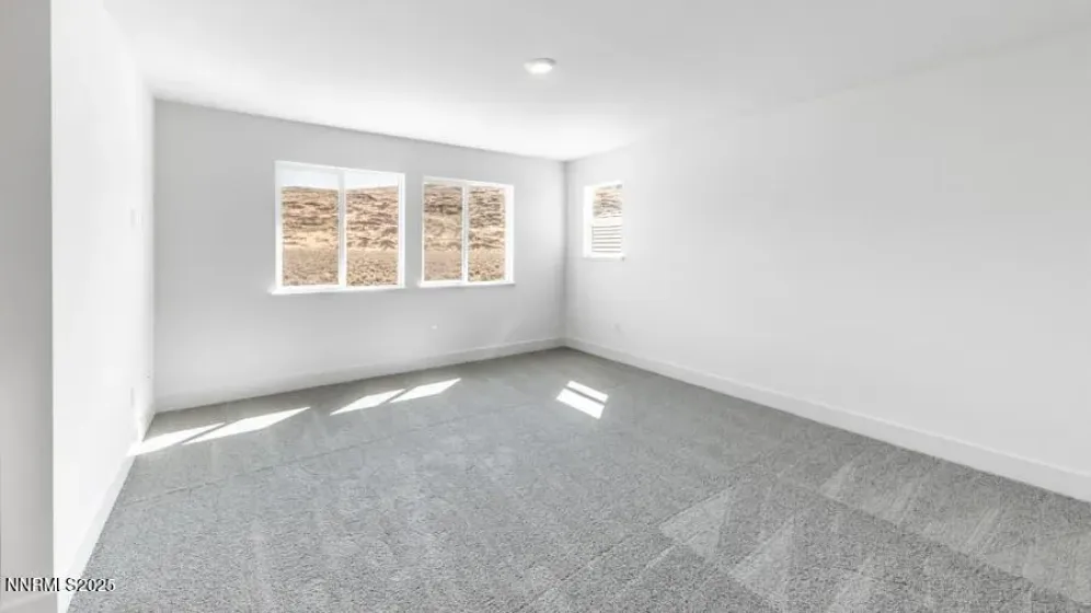 4358 Painted Cloud, Sparks, Nevada 89436, 4 Bedrooms Bedrooms, ,3 BathroomsBathrooms,Residential,Residential,Painted Cloud,250058581