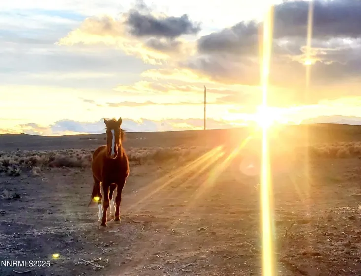 12965 Seminole, Stagecoach, Nevada 89429, 4 Bedrooms Bedrooms, ,2 BathroomsBathrooms,Residential,Residential,Seminole,250058599