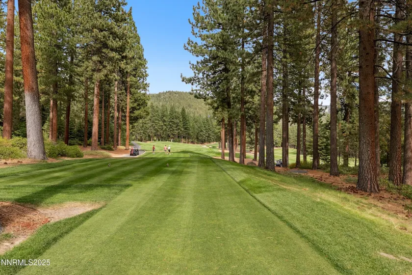 908 Harold, Incline Village, Nevada 89451, 3 Bedrooms Bedrooms, ,3 BathroomsBathrooms,Residential,Residential,Harold,250055344