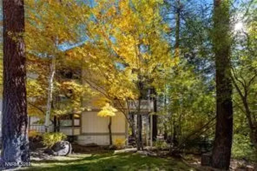 908 Harold, Incline Village, Nevada 89451, 3 Bedrooms Bedrooms, ,5 BathroomsBathrooms,Residential,Residential,Harold,250058638