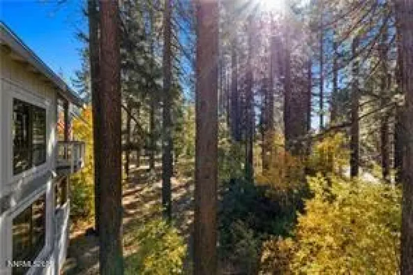 908 Harold, Incline Village, Nevada 89451, 3 Bedrooms Bedrooms, ,5 BathroomsBathrooms,Residential,Residential,Harold,250058638