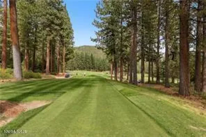 908 Harold, Incline Village, Nevada 89451, 3 Bedrooms Bedrooms, ,5 BathroomsBathrooms,Residential,Residential,Harold,250058638