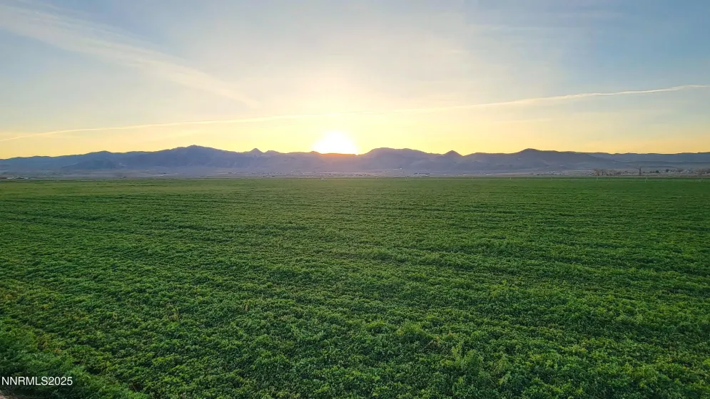 2 Pinehurst, Yerington, Nevada 89447, 3 Bedrooms Bedrooms, ,2 BathroomsBathrooms,Residential,Residential,Pinehurst,250058642