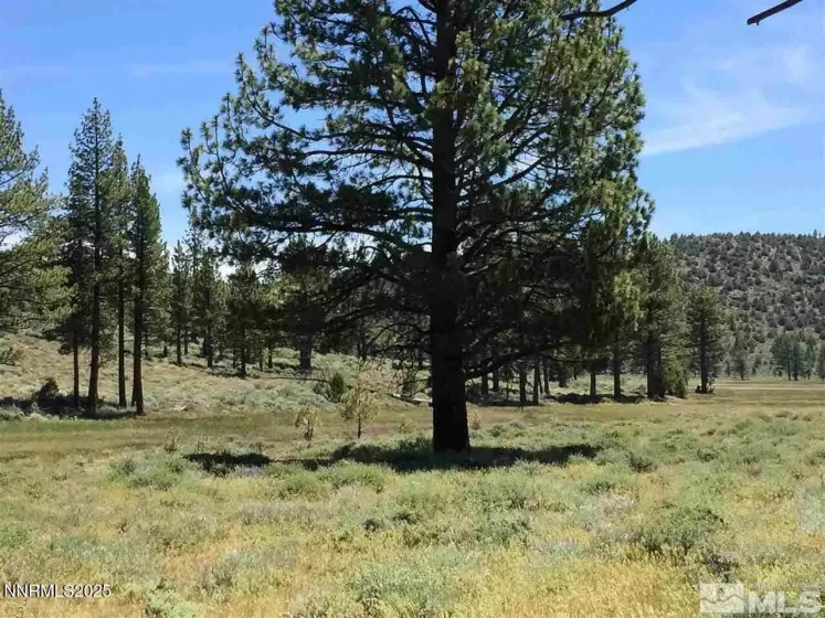 APN 047 State Route 89, Markleeville, California 96120, ,Land,Residential,State Route 89,250058648