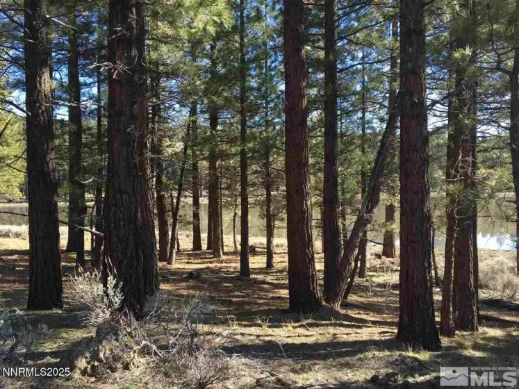 APN 047 State Route 89, Markleeville, California 96120, ,Land,Residential,State Route 89,250058648