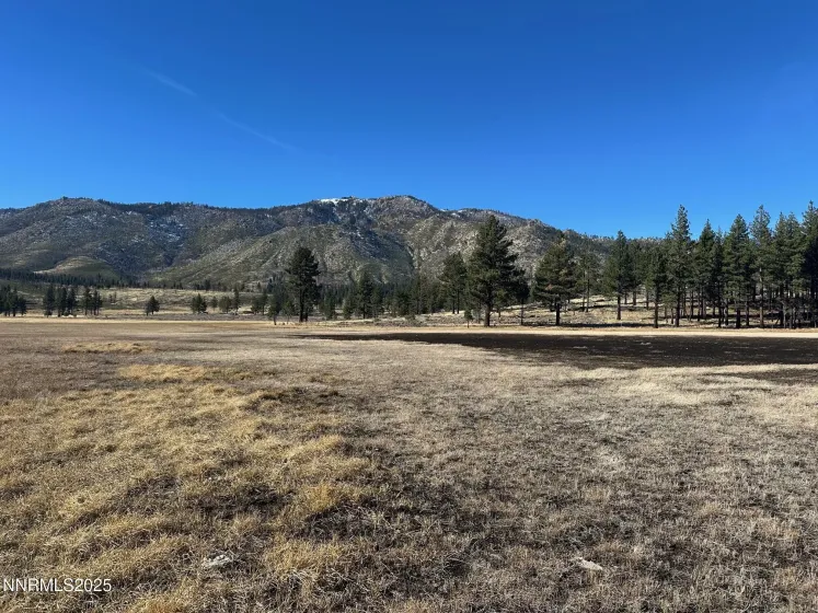 APN 047 State Route 89, Markleeville, California 96120, ,Land,Residential,State Route 89,250058648