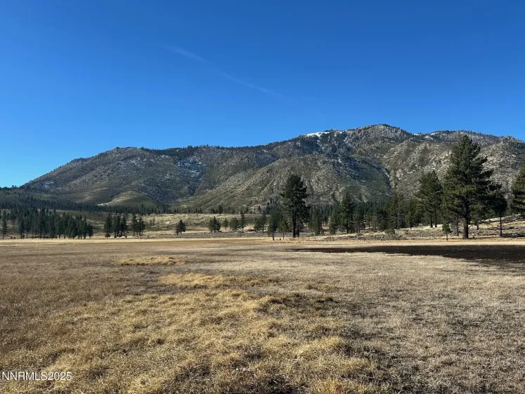 APN 047 State Route 89, Markleeville, California 96120, ,Land,Residential,State Route 89,250058648