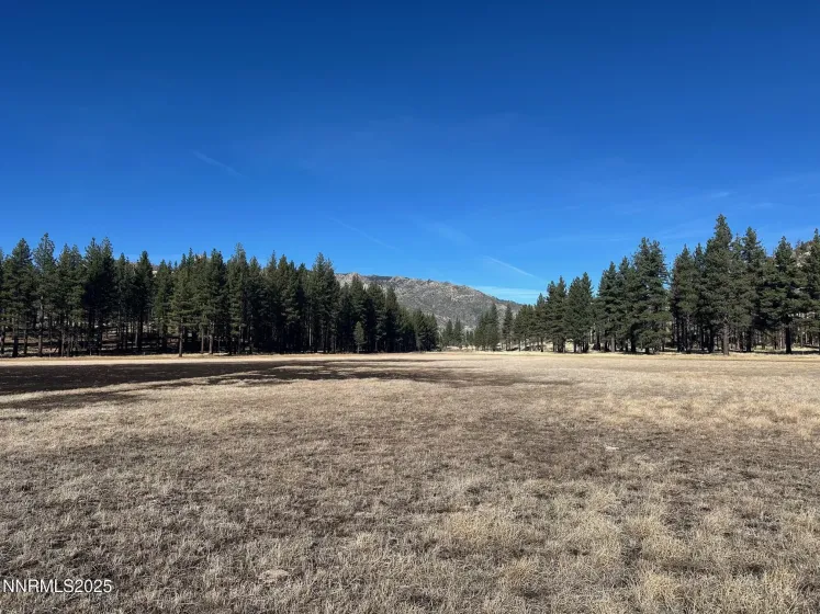 APN 047 State Route 89, Markleeville, California 96120, ,Land,Residential,State Route 89,250058648