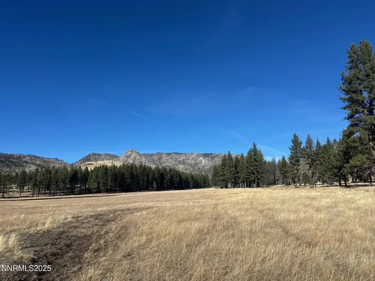 APN 047 State Route 89, Markleeville, California 96120, ,Land,Residential,State Route 89,250058648