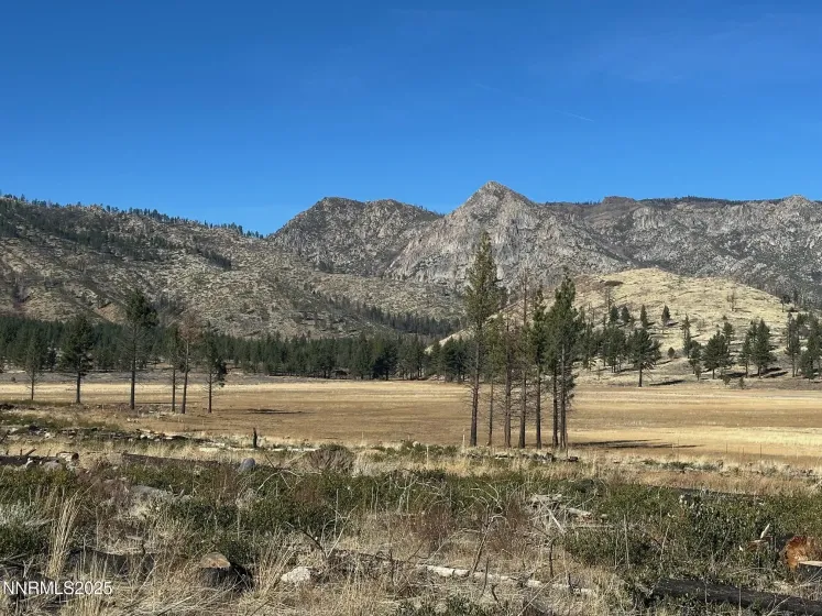 APN 047 State Route 89, Markleeville, California 96120, ,Land,Residential,State Route 89,250058648