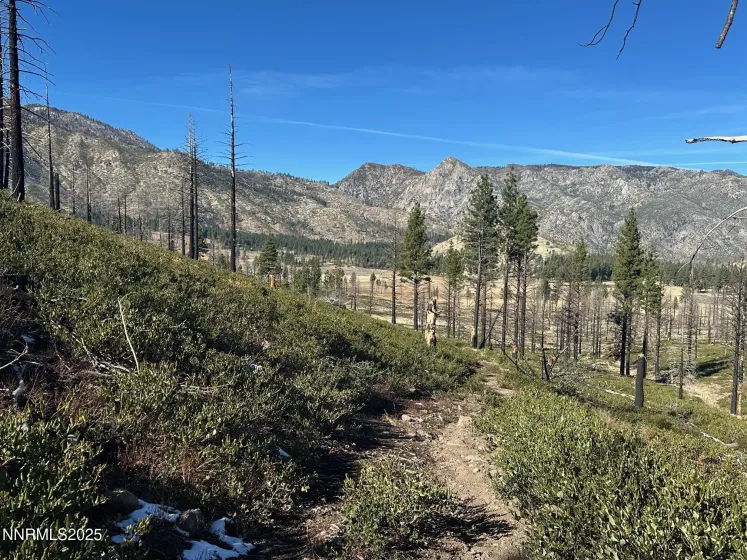 APN 047 State Route 89, Markleeville, California 96120, ,Land,Residential,State Route 89,250058648