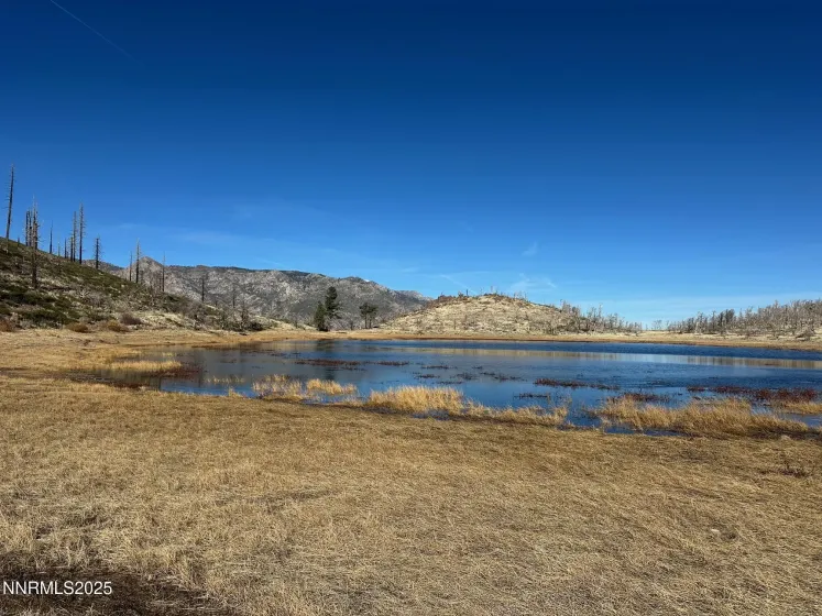 APN 047 State Route 89, Markleeville, California 96120, ,Land,Residential,State Route 89,250058648